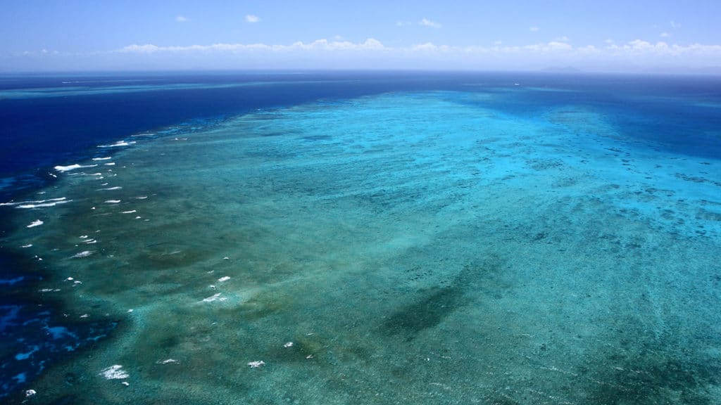Chinchorro Bank - Banco Chinchorro Atoll Reef
